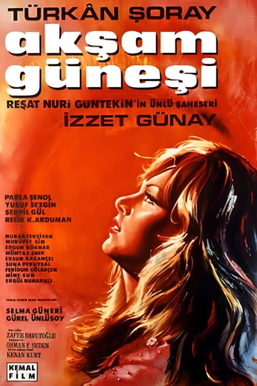 Постер: Akşam Güneşi