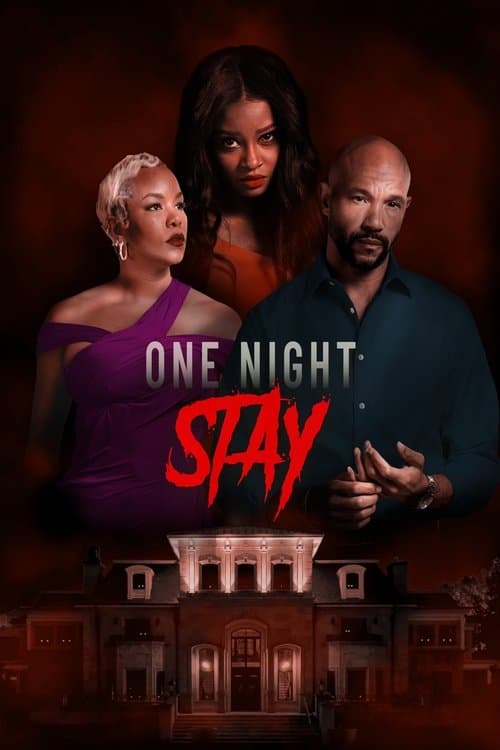 Постер: One Night Stay