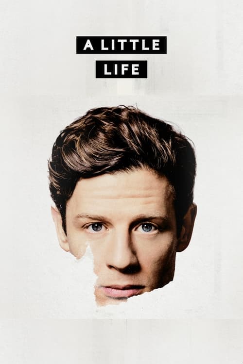 Постер: A Little Life