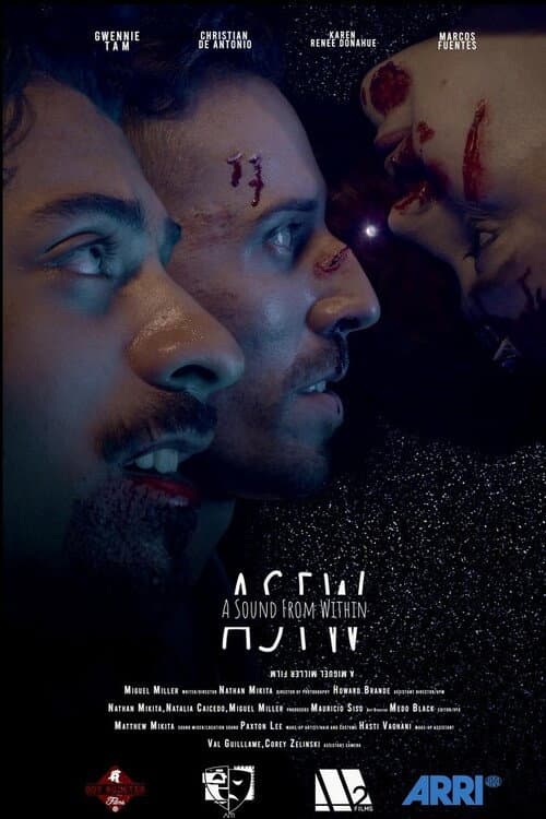 Постер: A Sound from Within