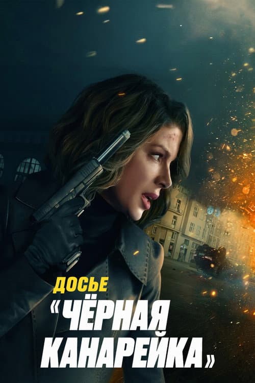 Кадр 3