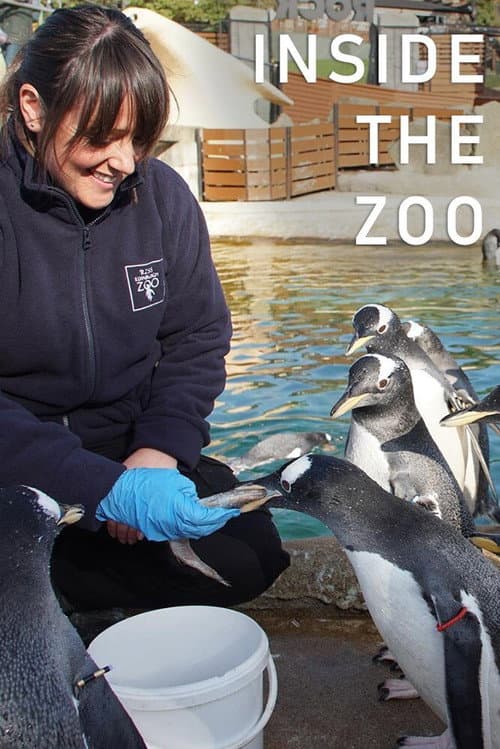 Постер: Inside The Zoo