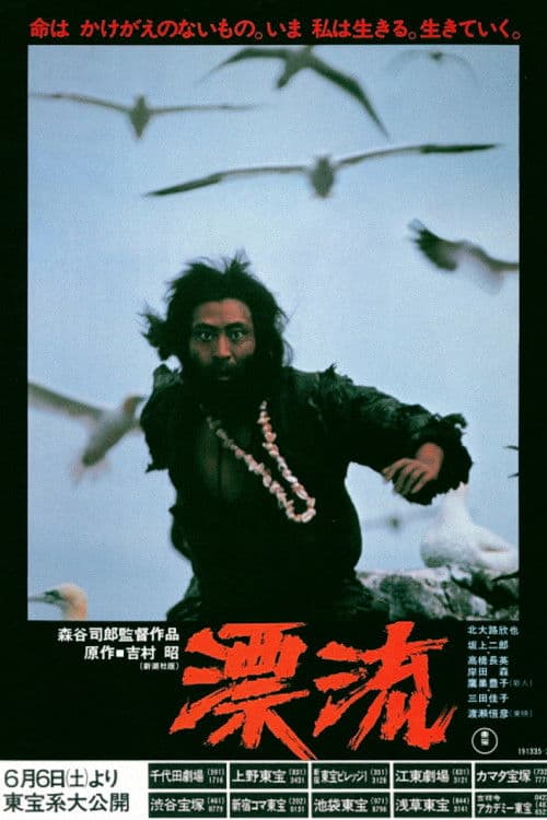 Постер: 漂流