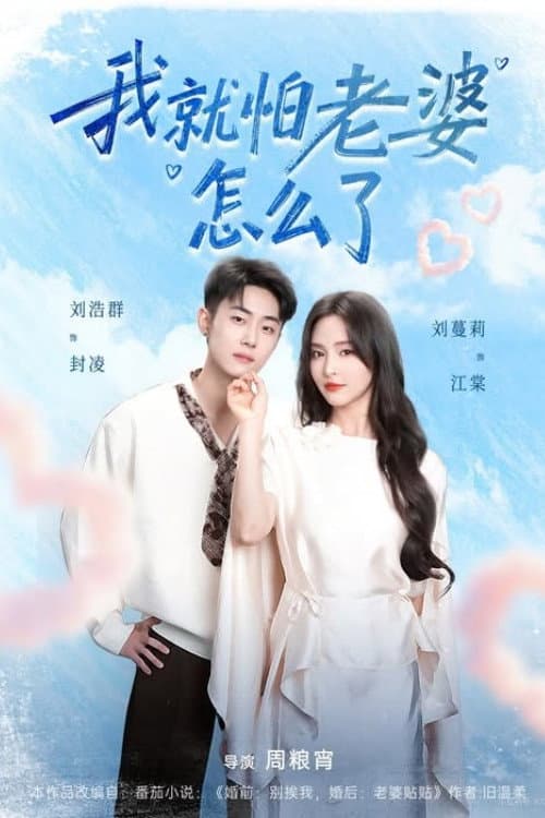Постер: 我就怕老婆怎么了