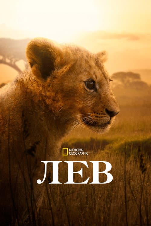 Постер: Лев