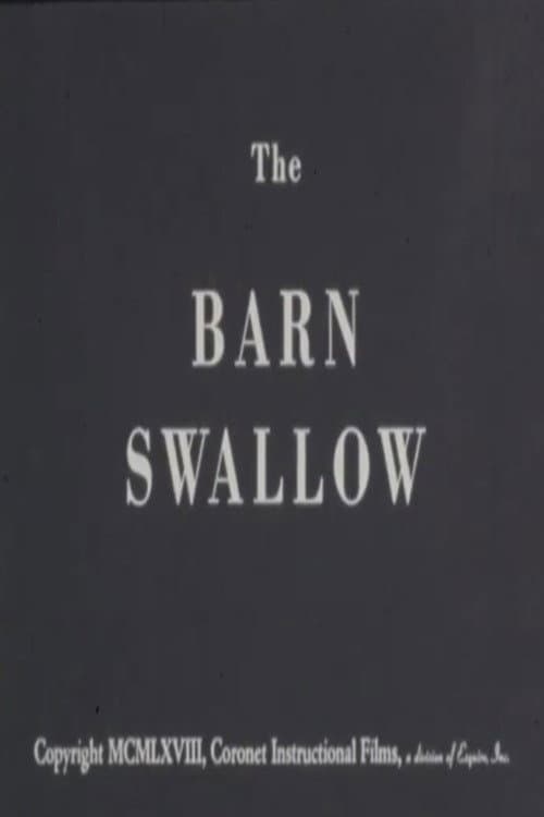 Постер: The Barn Swallow
