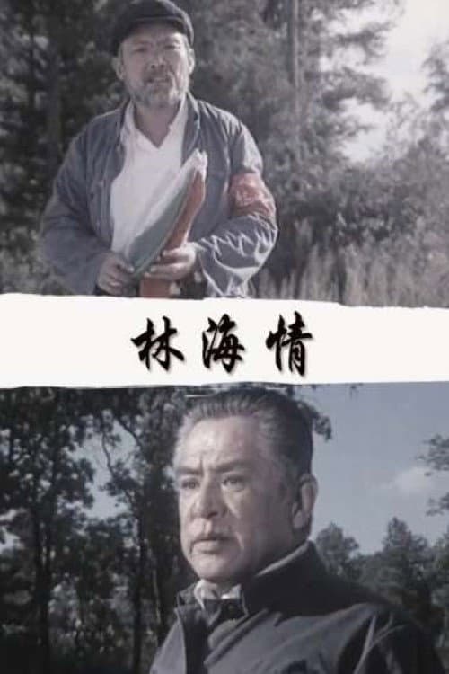 Постер: 林海情