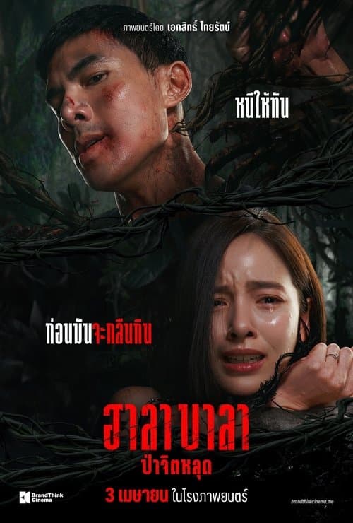 Постер: ฮาลาบาลา ป่าจิตหลุด