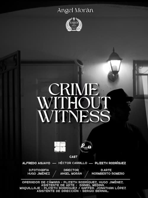 Постер: Crime Without Witness