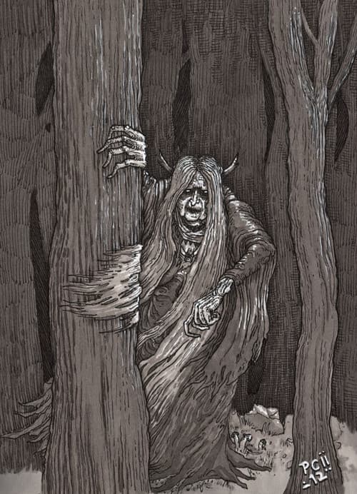 Постер: The Hag
