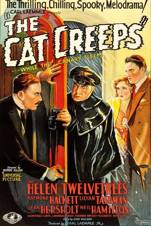 Постер: The Cat Creeps