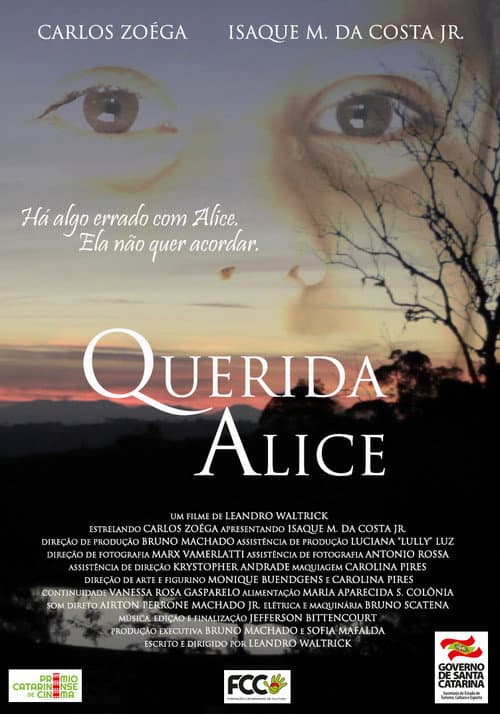 Постер: Querida Alice