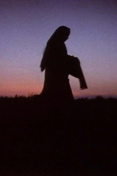 Постер: Women in the Shadows