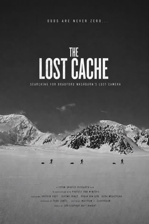 Постер: The Lost Cache