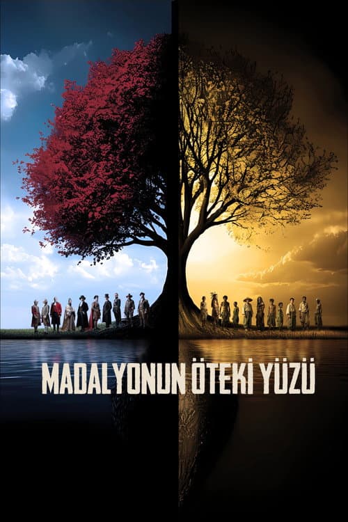 Постер: Madalyonun Öteki Yüzü