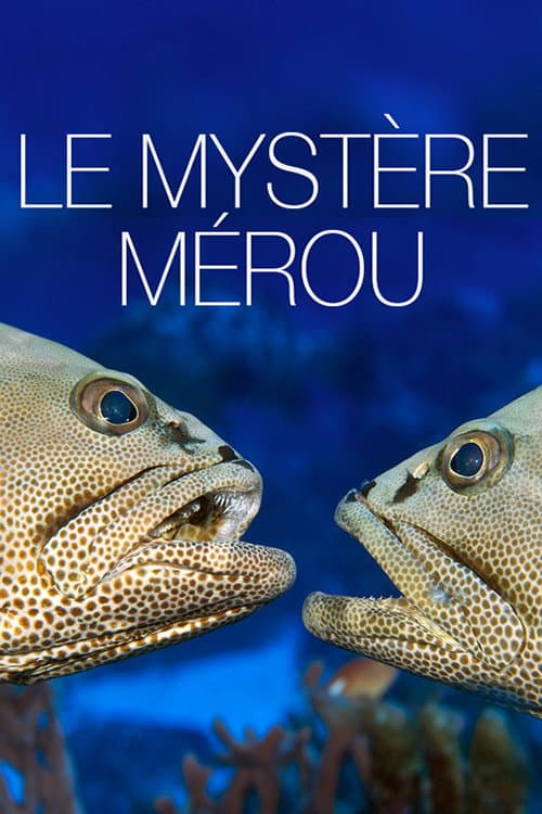 Постер: Le Mystère Mérou