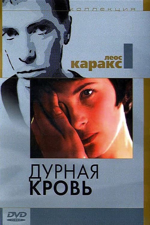 Кадр 2