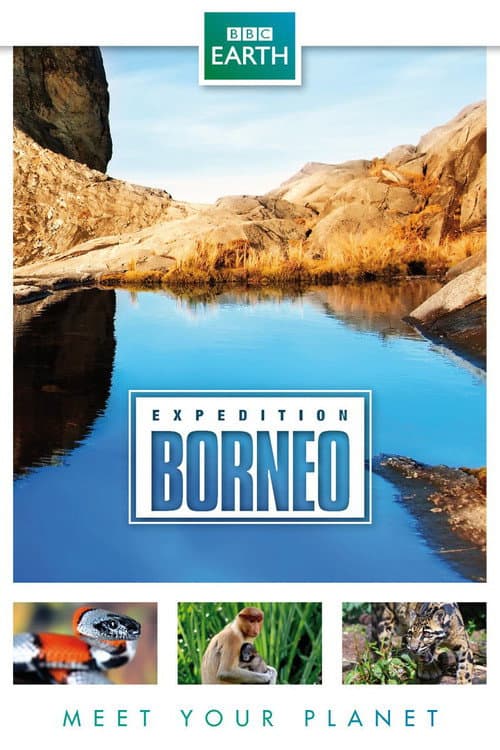 Постер: Expedition Borneo