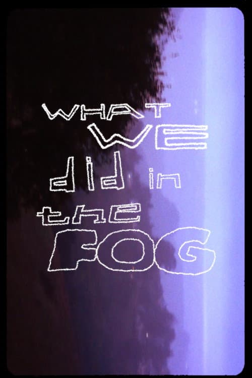Постер: what we did in the fog
