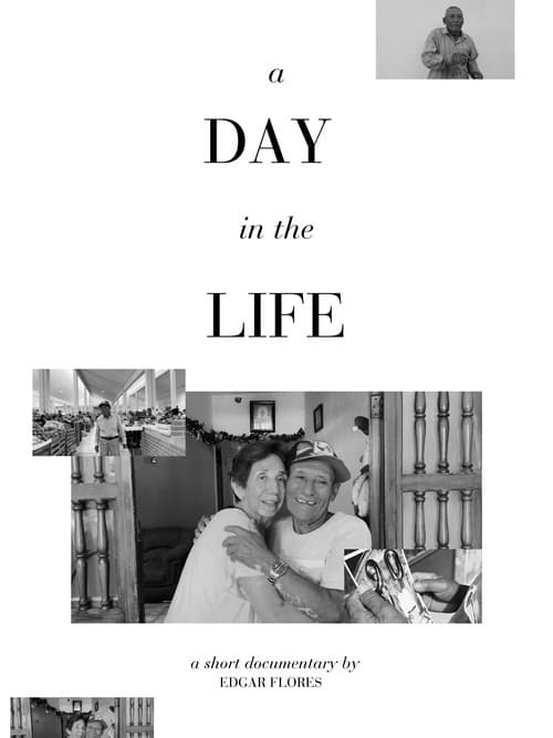 Постер: A Day in the Life