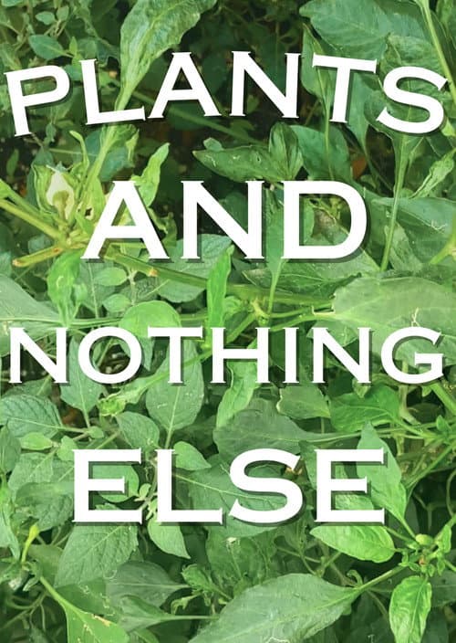 Постер: Plants And Nothing Else
