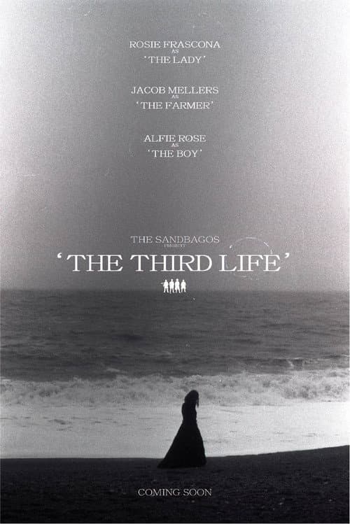 Постер: The Third Life