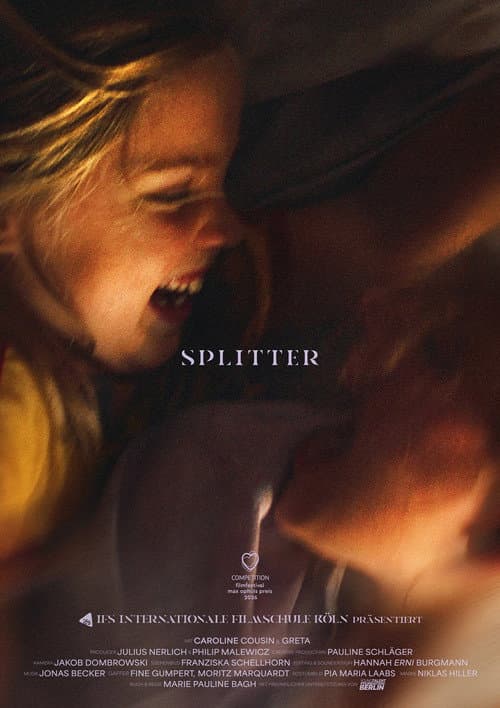 Постер: Splitter