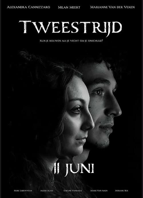 Постер: Tweestrijd