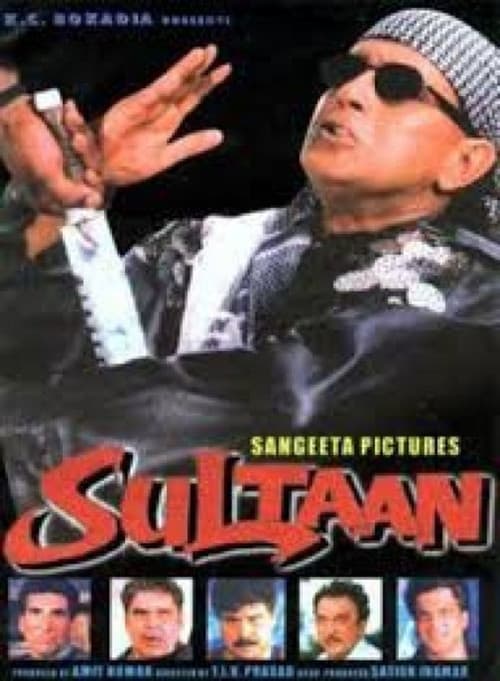 Постер: Sultaan