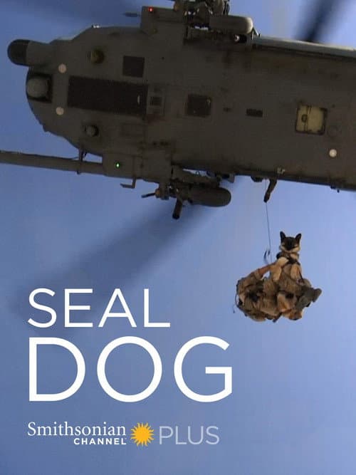 Постер: SEAL Dog