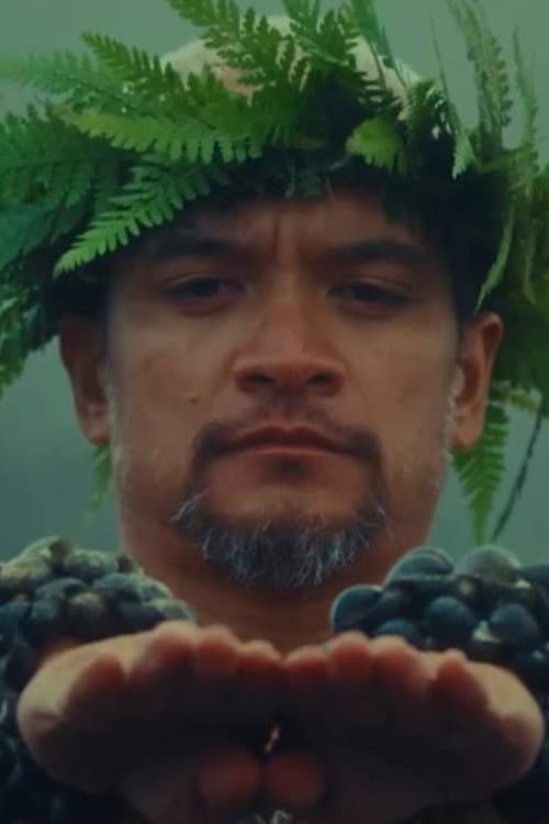 Постер: Hula is Hawaii