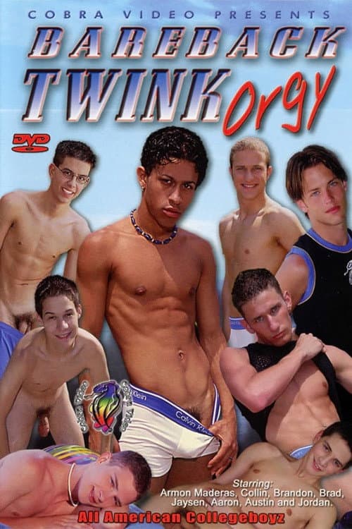 Постер: Bareback Twink Orgy