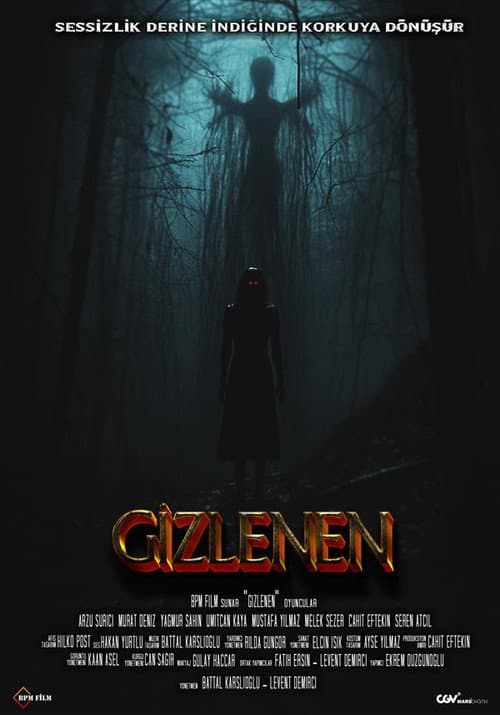 Постер: Gizlenen