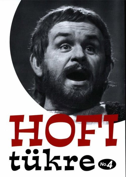 Постер: Hofi tükre No.4