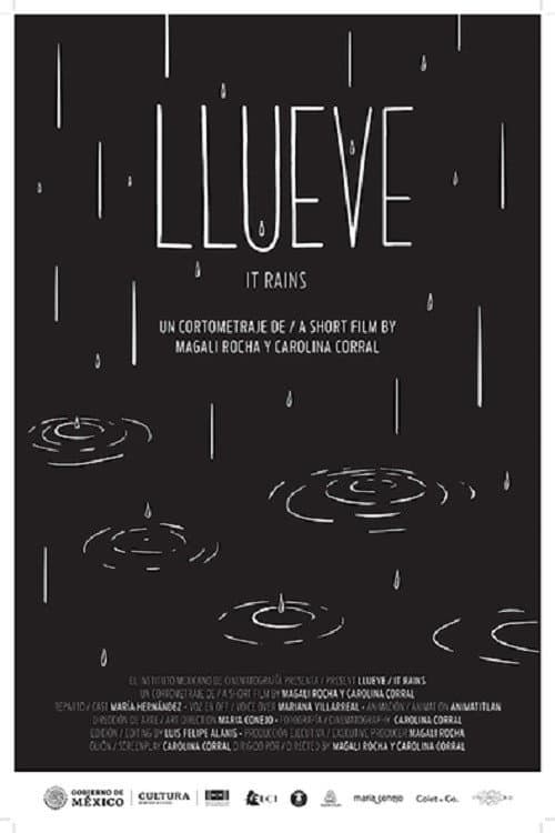 Постер: Llueve