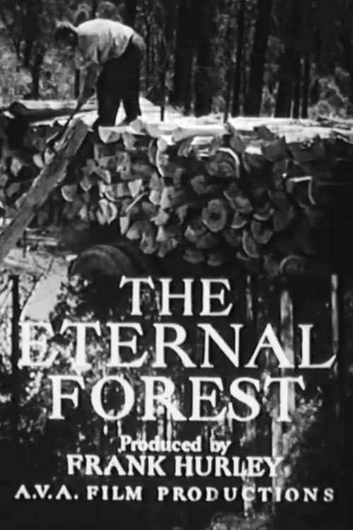 Постер: The Eternal Forest