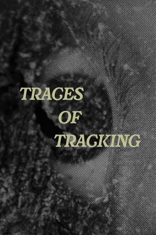 Постер: Traces of Tracking