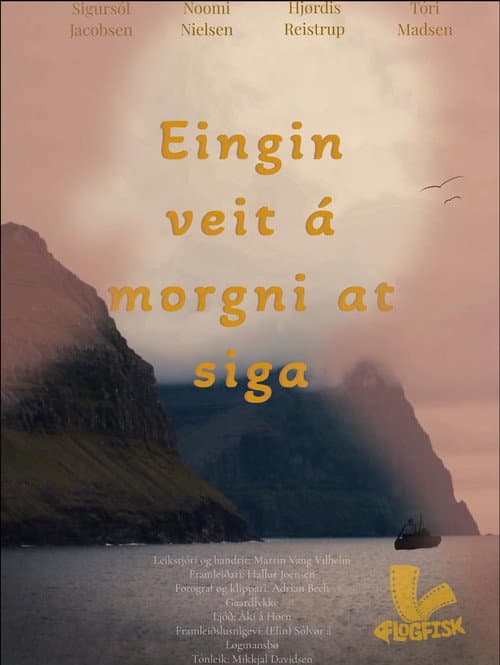 Постер: Eingin veit á morgni at siga