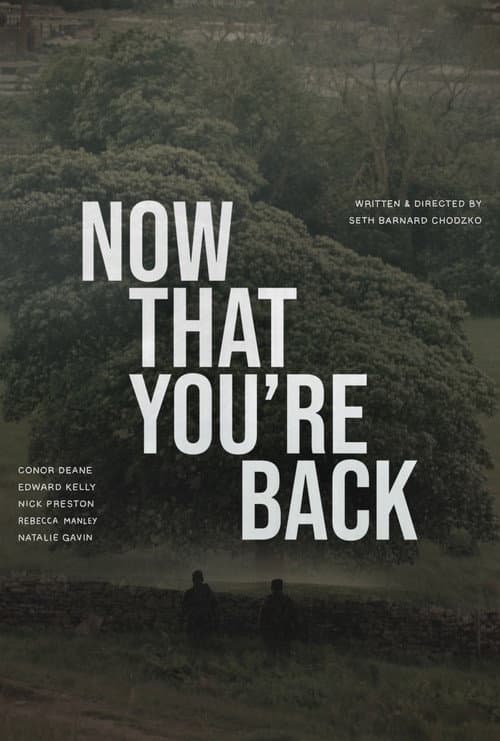 Постер: Now That You’re Back