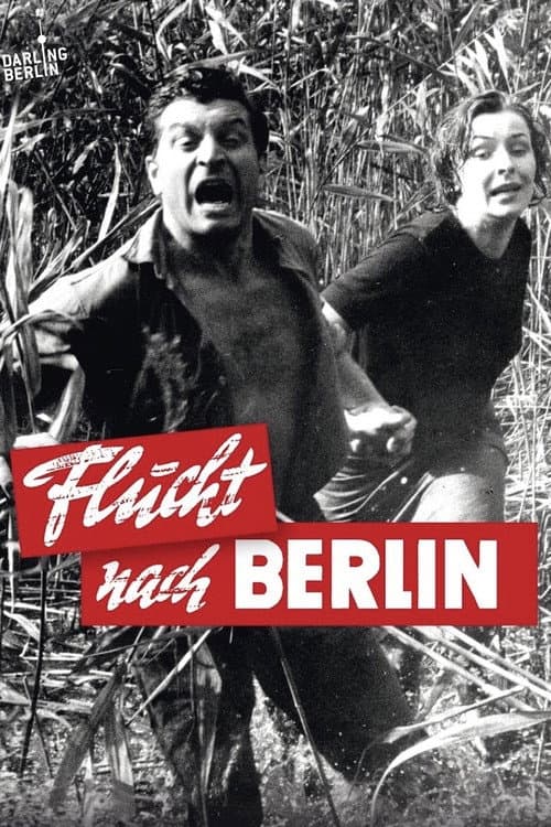 Постер: Flucht nach Berlin