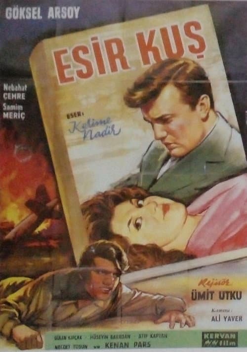 Постер: Esir Kuş