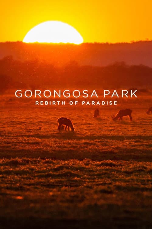 Постер: Gorongosa Park: Rebirth of Paradise
