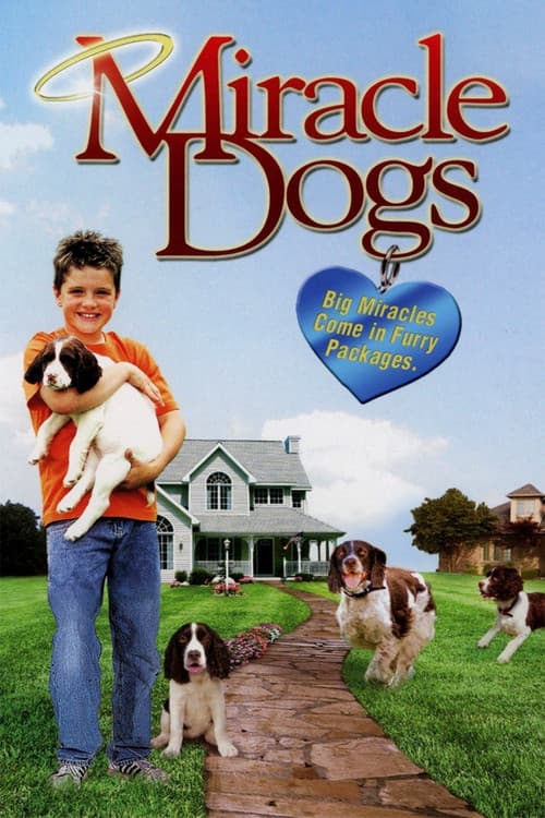 Постер: Miracle Dogs