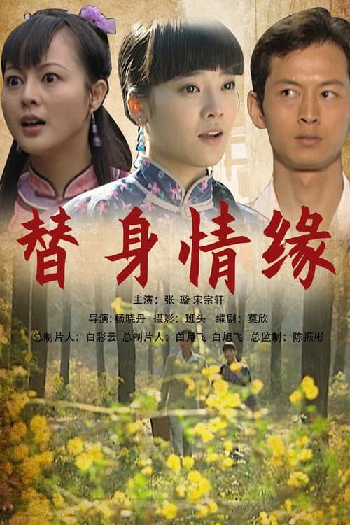 Постер: 替身情缘