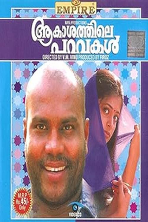 Постер: ആകാശത്തിലെ പറവകൾ
