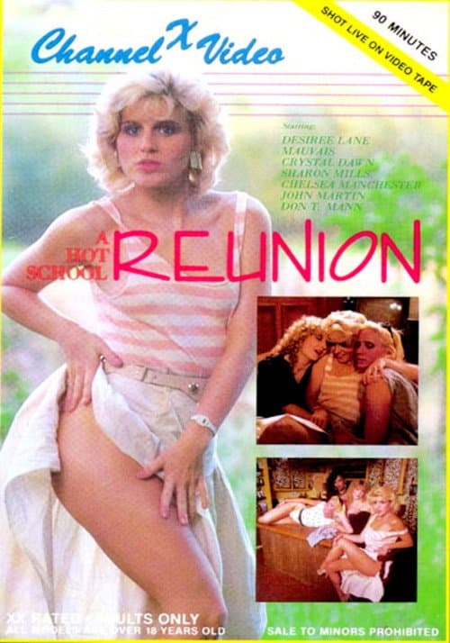 Постер: A Hot School Reunion