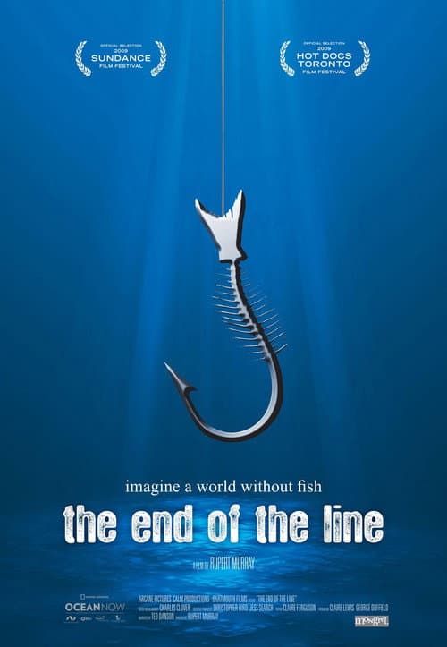 Постер: The End of the Line
