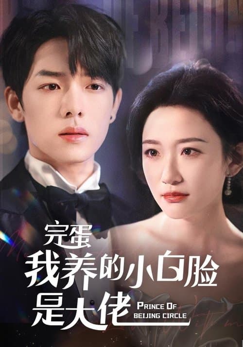 Постер: 完蛋我养的小白脸是大佬