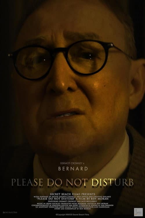 Постер: Please Do Not Disturb