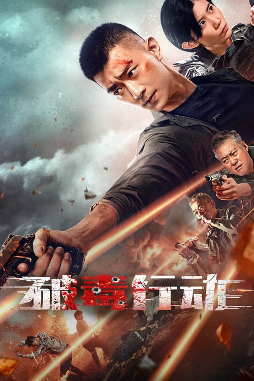 Постер: 破毒行动